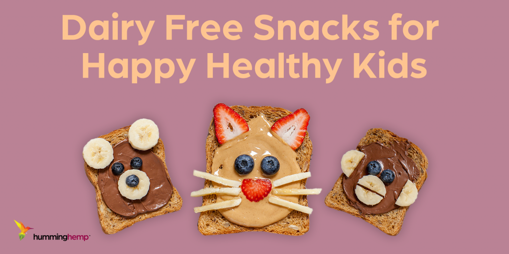 Dairy free snacks for kids